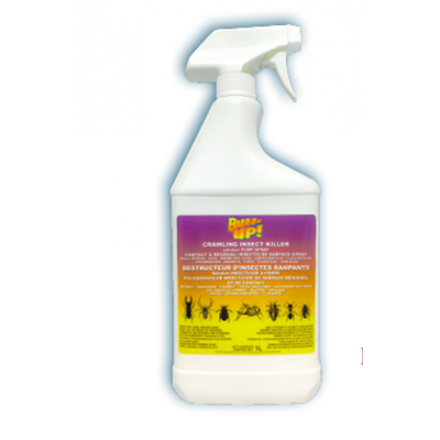 Buzz-Up Insecticide à Base d'eau pour Maison et Jardin Prêt à Utiliser 900ml